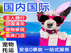 乌审旗嘎鲁图机场空运国际宠物托运 【国
